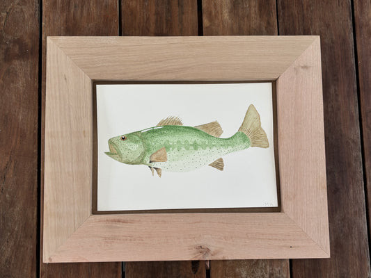 Bass fish - original print