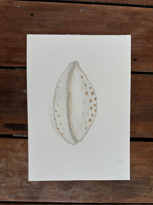 Cowrie painting - original print